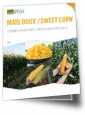 brochure maïs